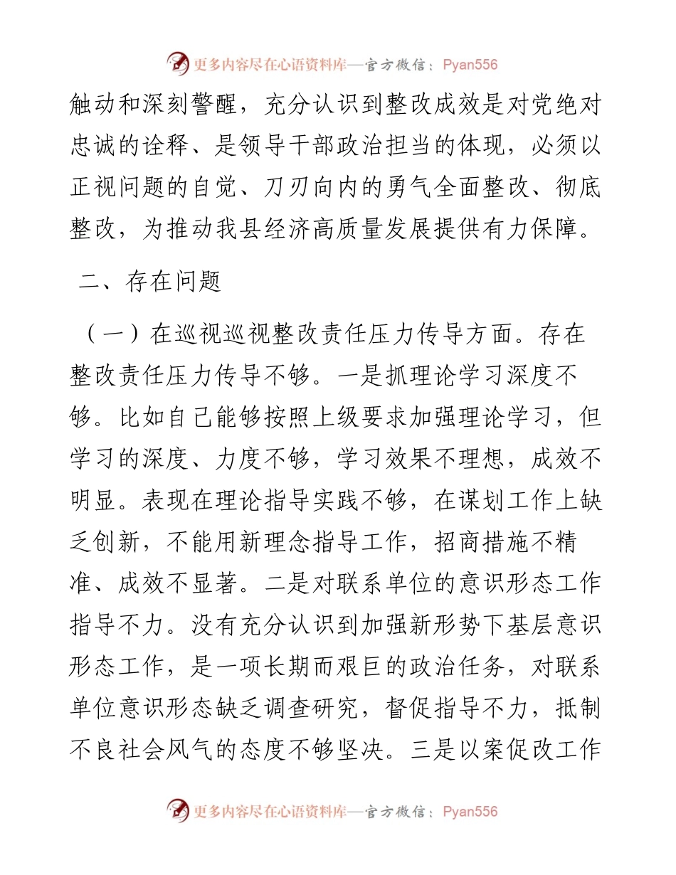 巡视整改专题民主生活会对照检查发言.docx_第2页