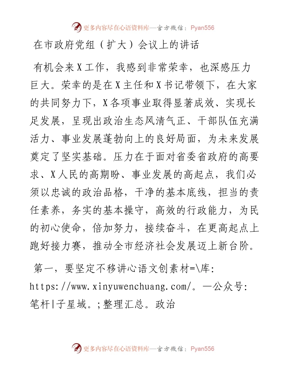 在市政府党组（扩大）会议上的讲话_4.docx_第1页