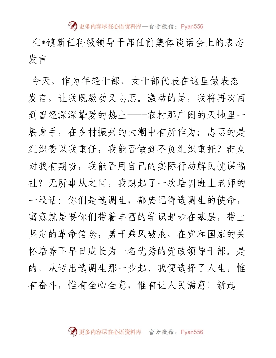 在镇新任科级领导干部任前集体谈话会上的表态发言汇编-5篇.docx_第1页