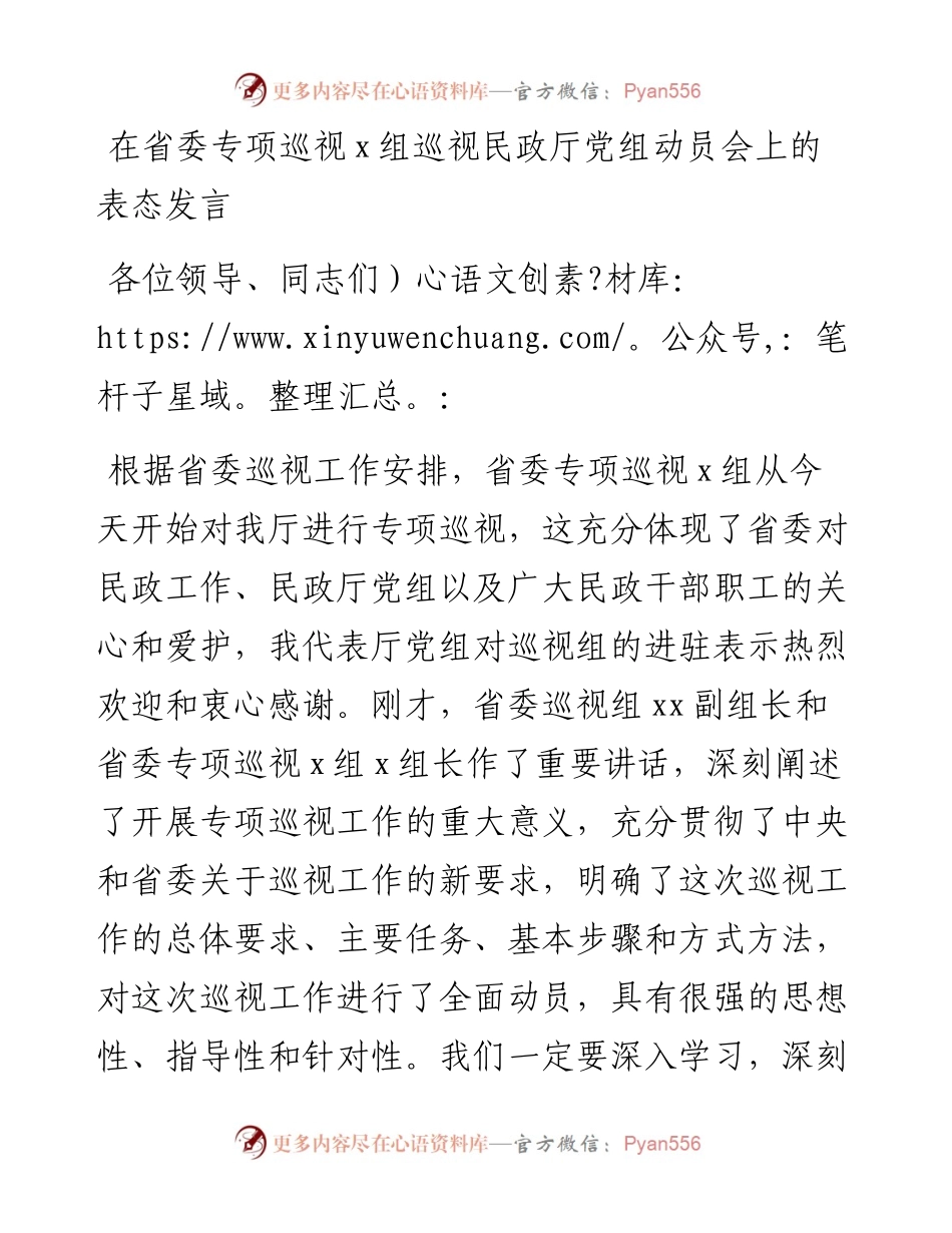 在省委专项巡视x组巡视民政厅党组动员会上的表态发言.docx_第1页