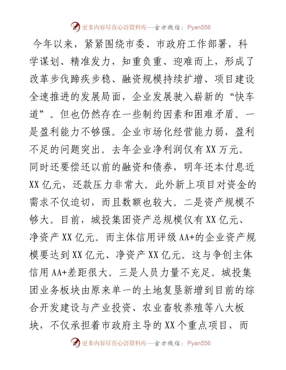 城投集团工作总结.docx_第1页
