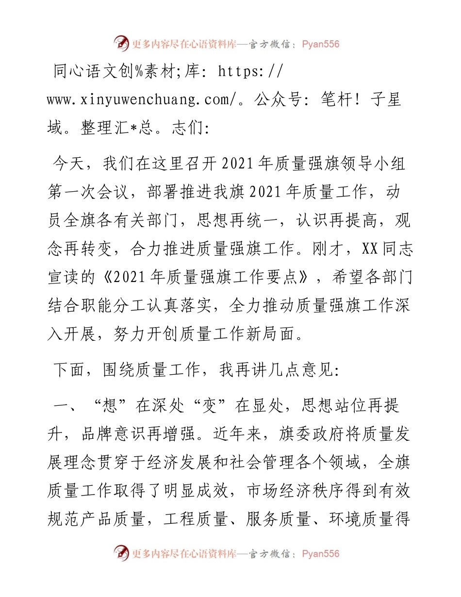 在质量强旗领导小组第一次会议上的讲话.docx_第1页