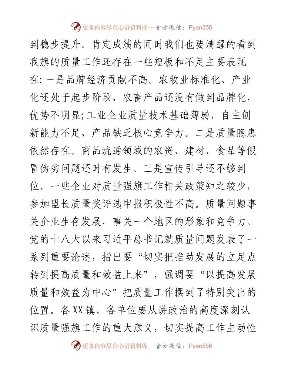 在质量强旗领导小组第一次会议上的讲话.docx_第2页