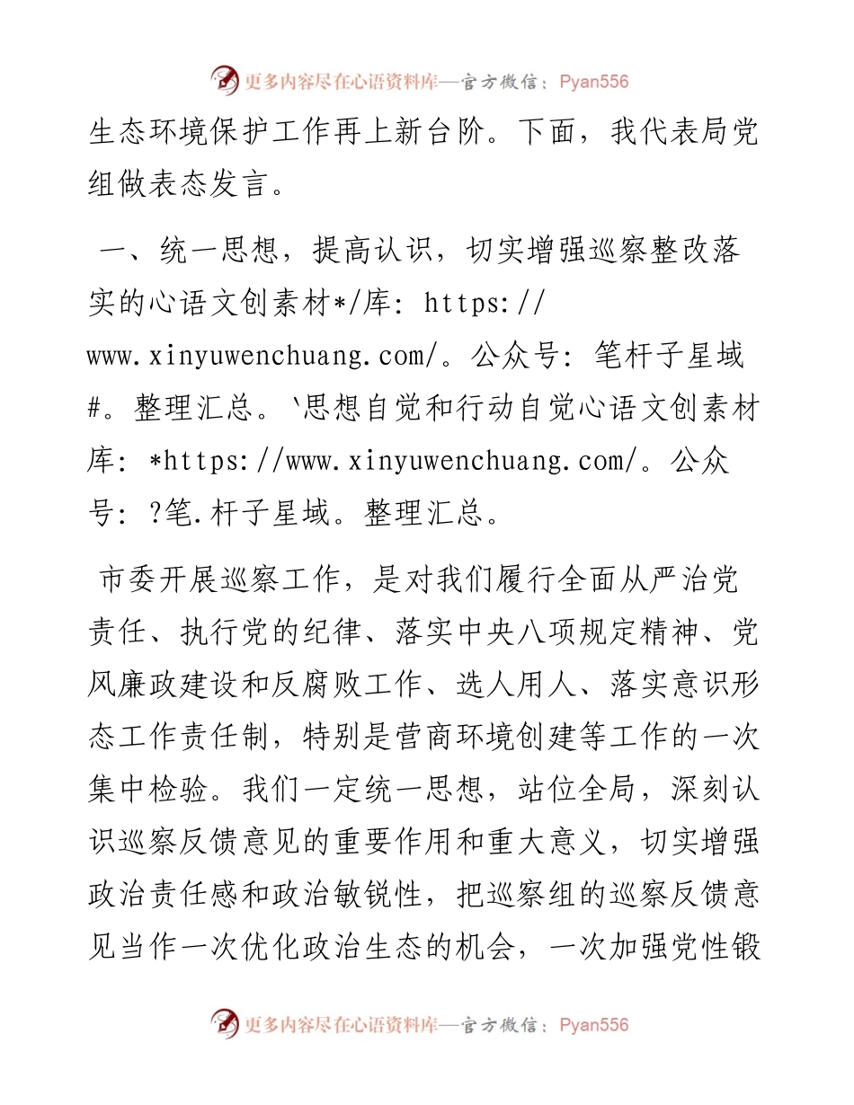 局党组成员、副局长在市委巡察反馈会议上的表态发言.docx_第2页