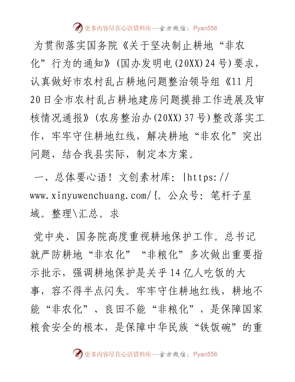 坚决制止耕地非农化实施方案.docx_第1页