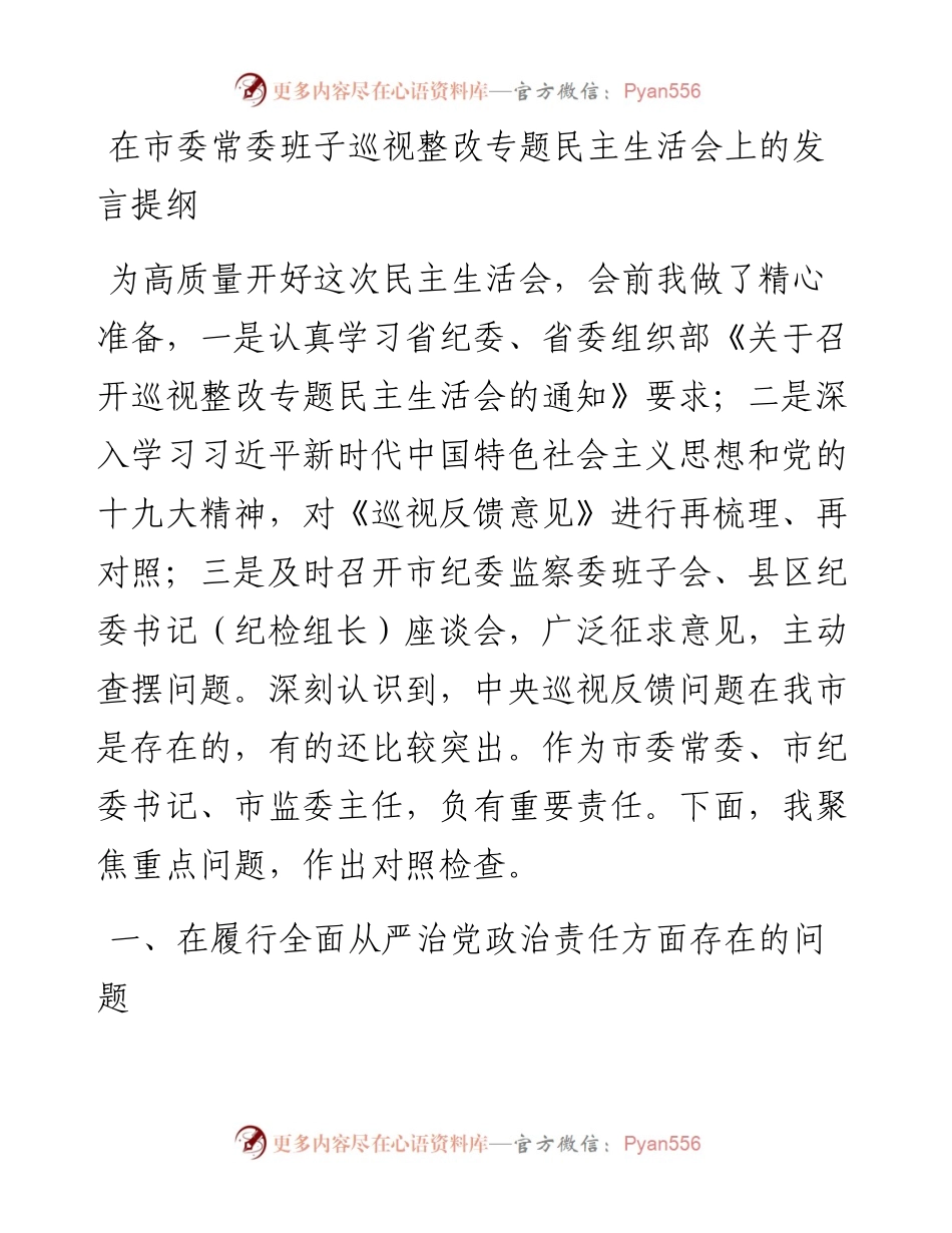 在市委常委班子巡视整改专题民主生活会上的发言提纲.docx_第1页