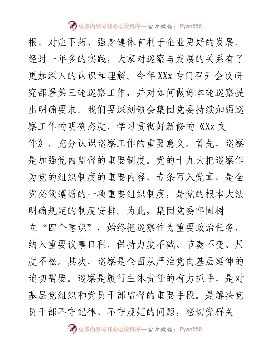 在巡察工作动员大会上的讲话（公司）.docx_第2页