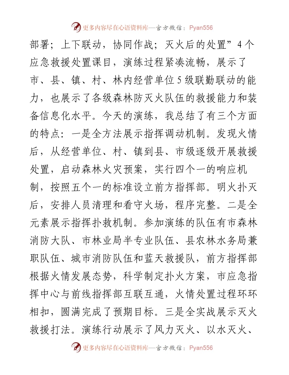 在森林火灾应急演练上的点评讲话.docx_第2页