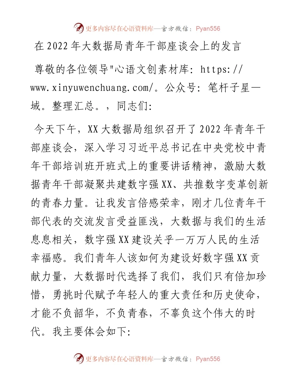 在大数据局青年干部座谈会上的发言.docx_第1页