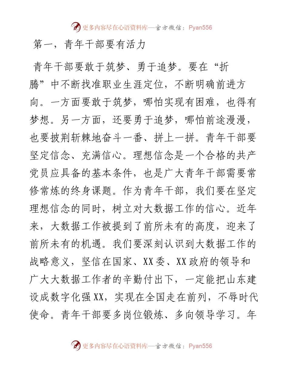 在大数据局青年干部座谈会上的发言.docx_第2页