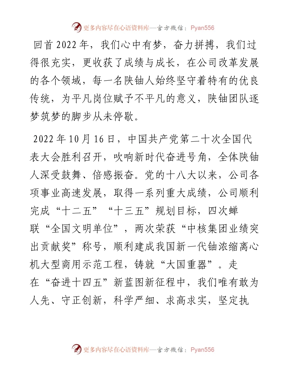 在集团新年升旗仪式上的讲话.docx_第2页