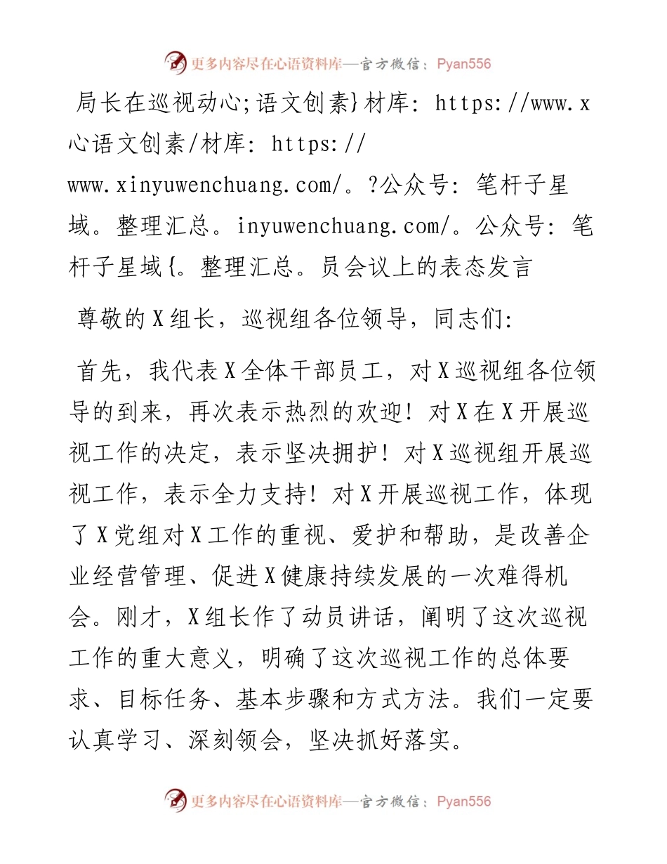 局长在巡视动员会议上的表态发言(1).docx_第1页