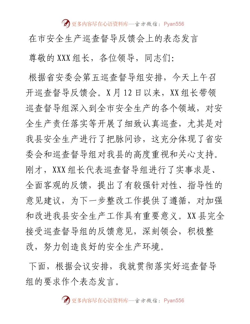 在市安全生产巡查督导反馈会上的表态发言.docx_第1页