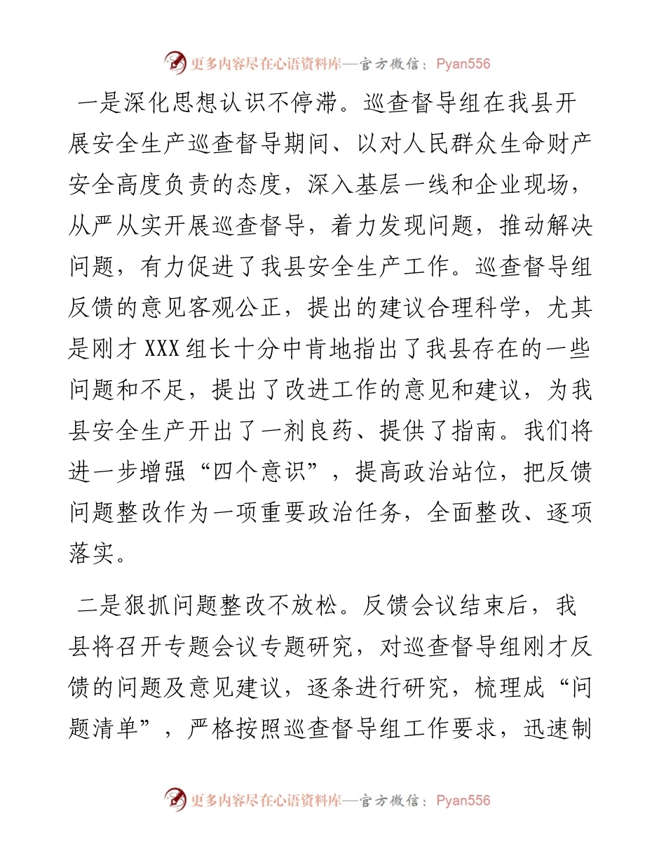在市安全生产巡查督导反馈会上的表态发言.docx_第2页