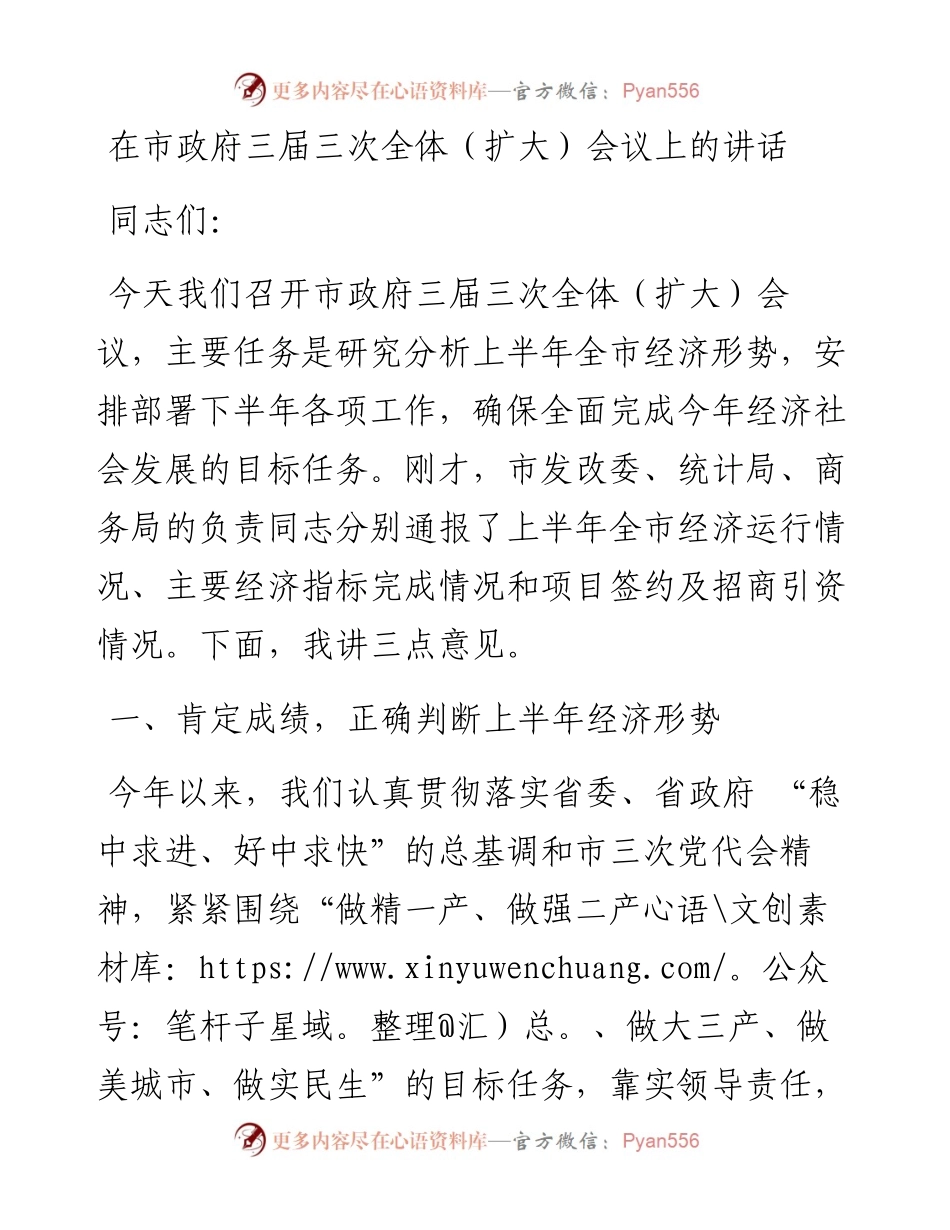 在市政府三届三次全体（扩大）会议上的讲话.docx_第1页
