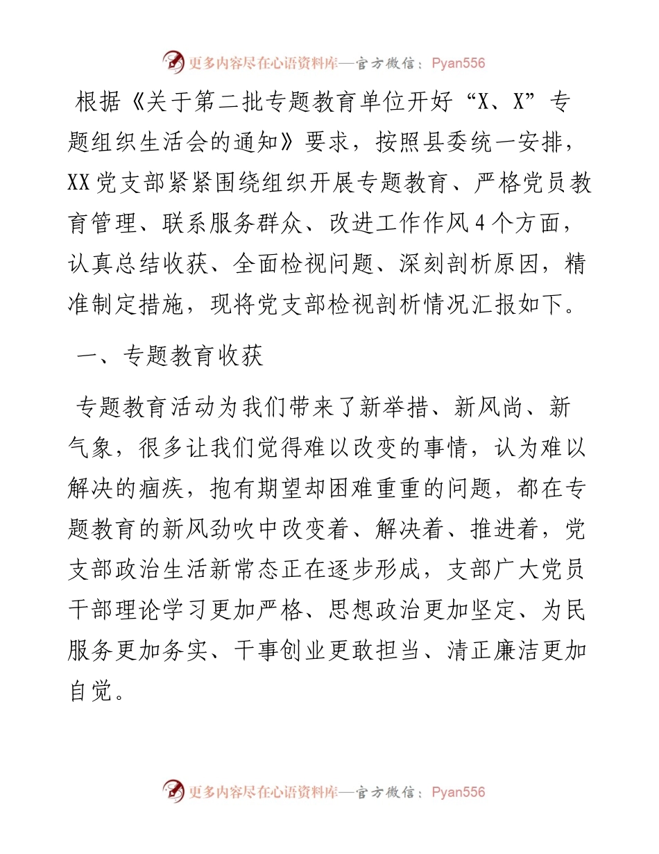 基层党支部专题教育组织生活会检视剖析材料.docx_第1页