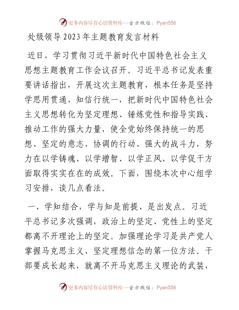 处级领导2023年主题教育发言材料.docx_第1页