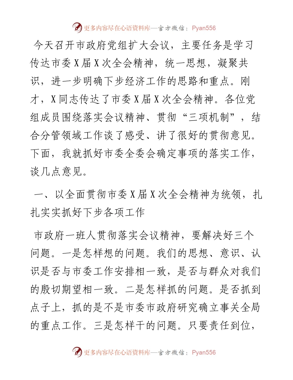 在市政府党组扩大会议上的讲话.docx_第1页