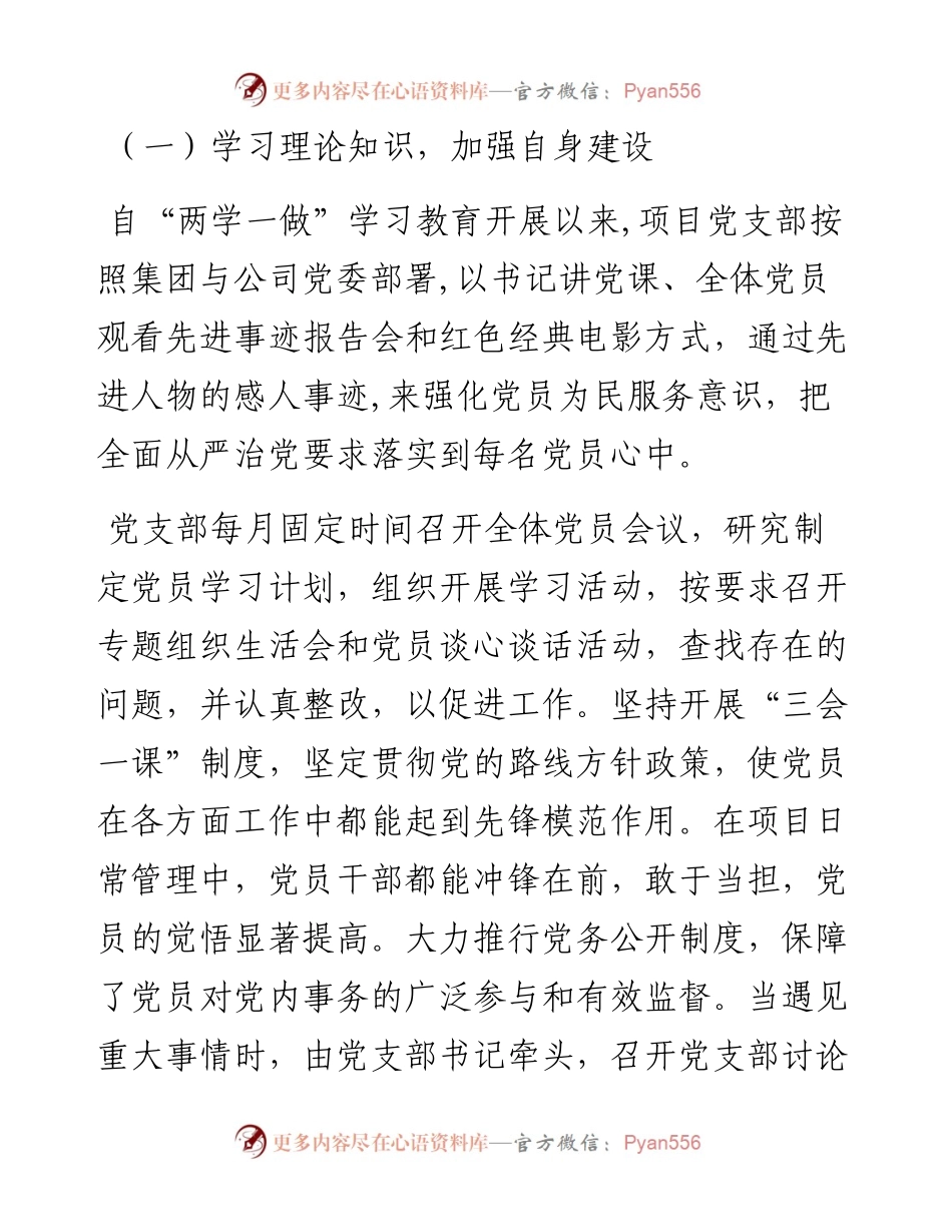 境外项目党支部工作总结和工作计划.docx_第2页