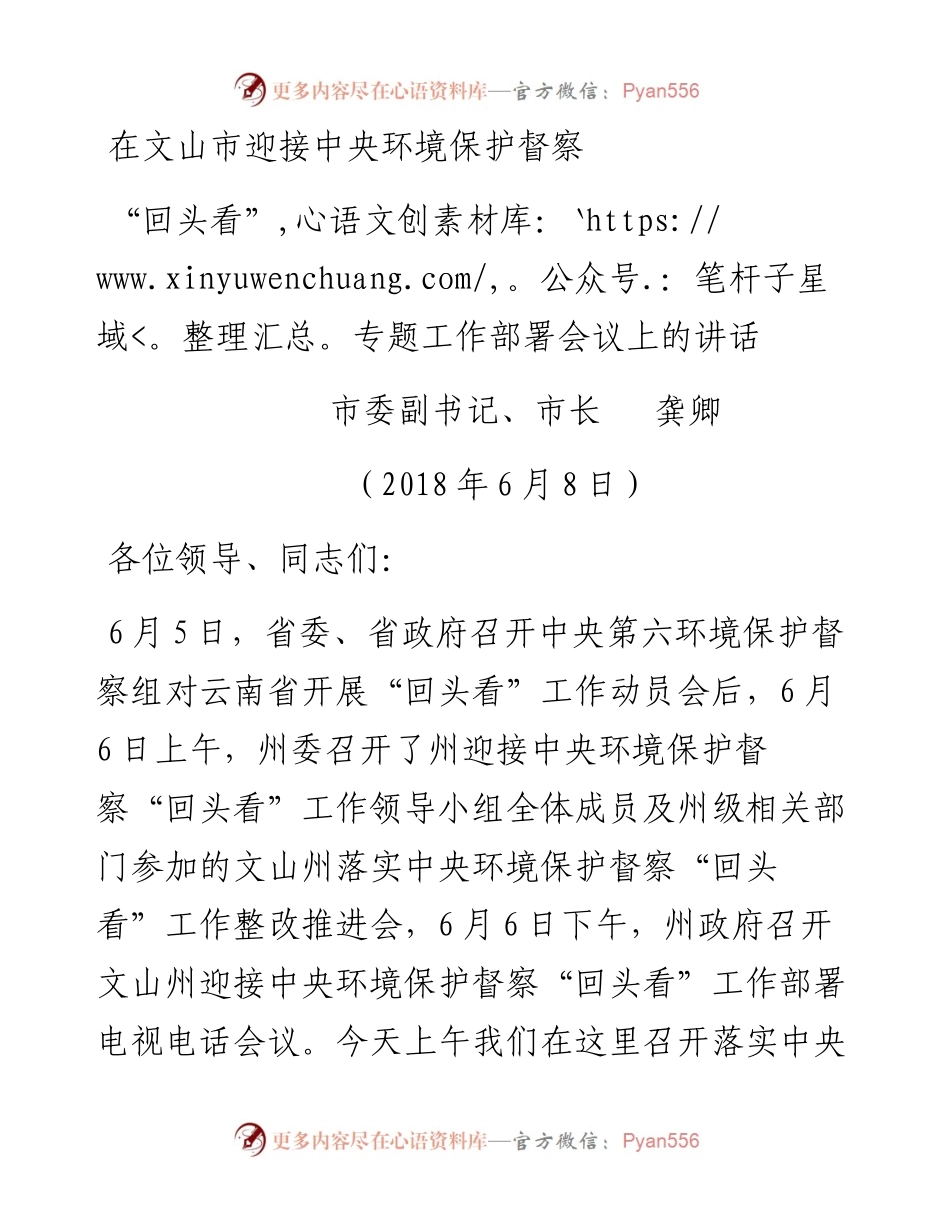 在文山市迎接中央环保督查回头看专题工作上的讲话.docx_第1页