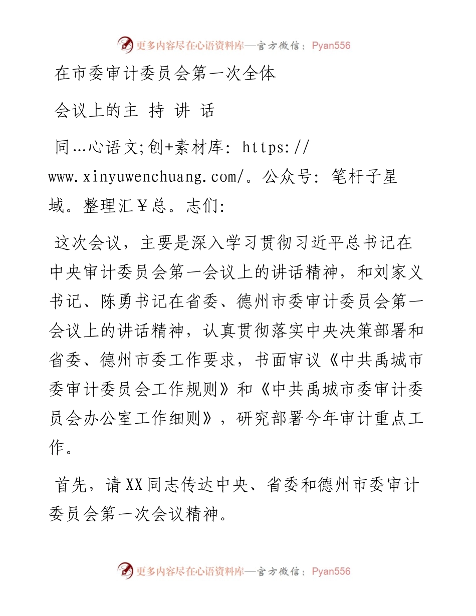 在市委审计委员会第一次全体会议讲话.docx_第1页