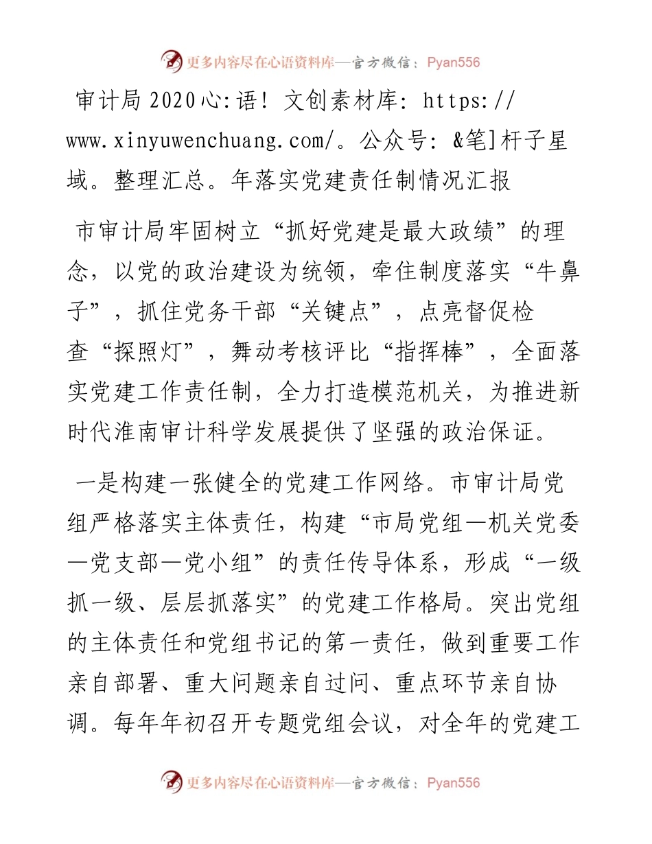 审计局落实党建责任制情况汇报.docx_第1页