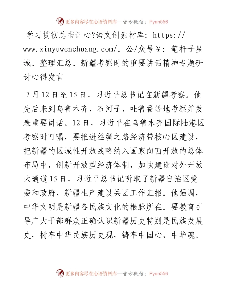 学习贯彻总书记新疆考察时的重要讲话精神专题研讨心得发言.docx_第1页