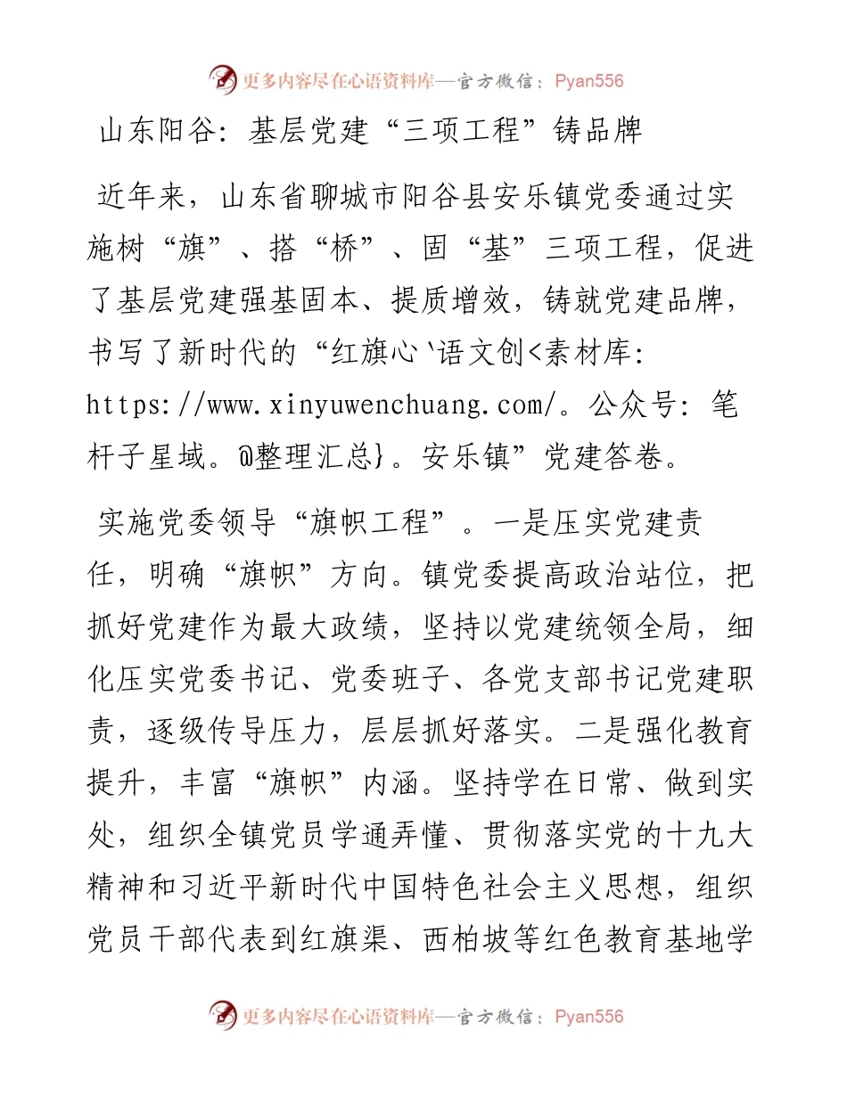 山东阳谷：基层党建“三项工程”铸品牌.docx_第1页