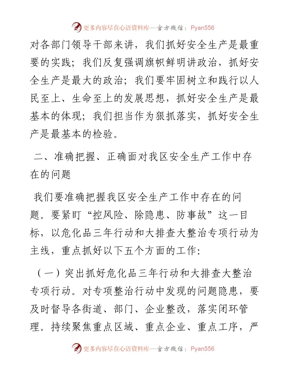 在危化品和烟花爆竹专业委员会会议上的讲话.docx_第2页