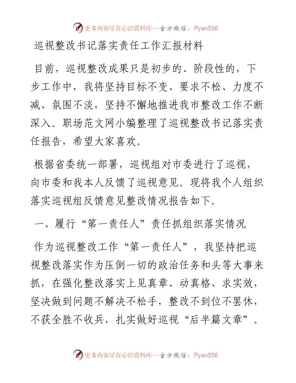 巡视整改书记落实责任工作汇报材料.docx_第1页