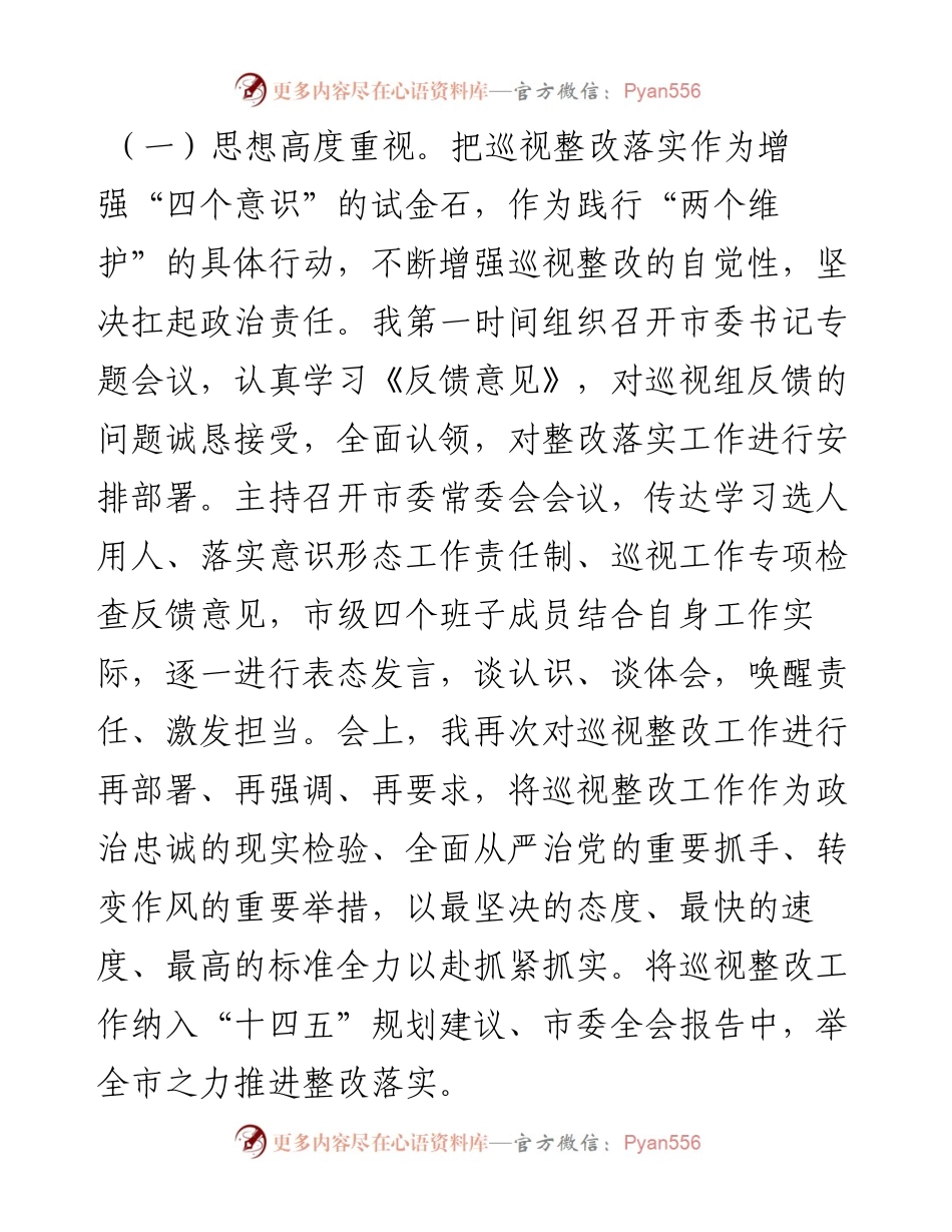 巡视整改书记落实责任工作汇报材料.docx_第2页