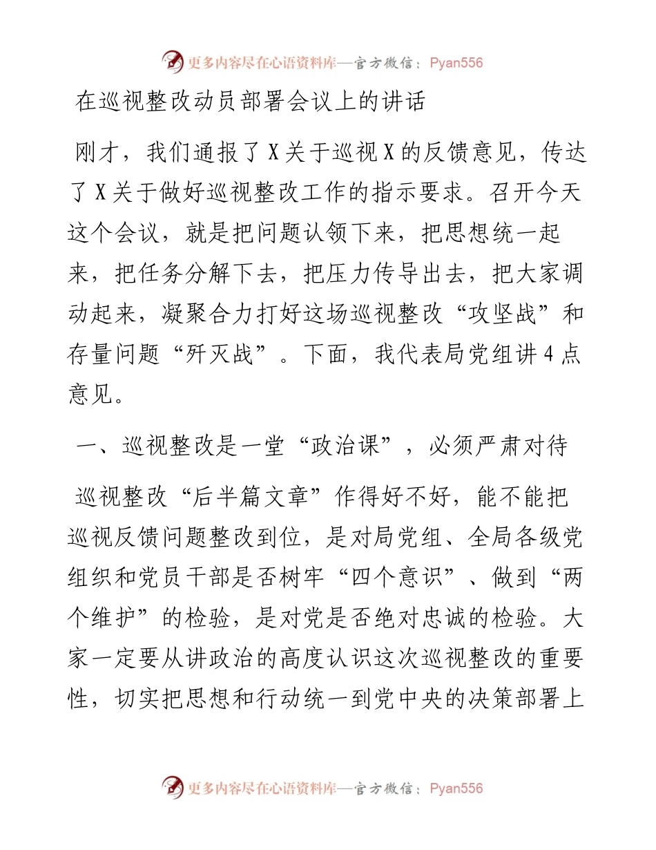 在巡视整改动员部署会议上的讲话.docx_第1页