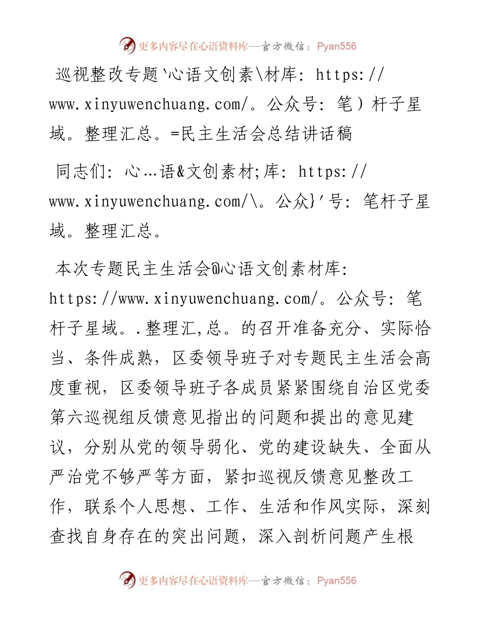 巡视整改专题民主生活会总结讲话稿.docx_第1页