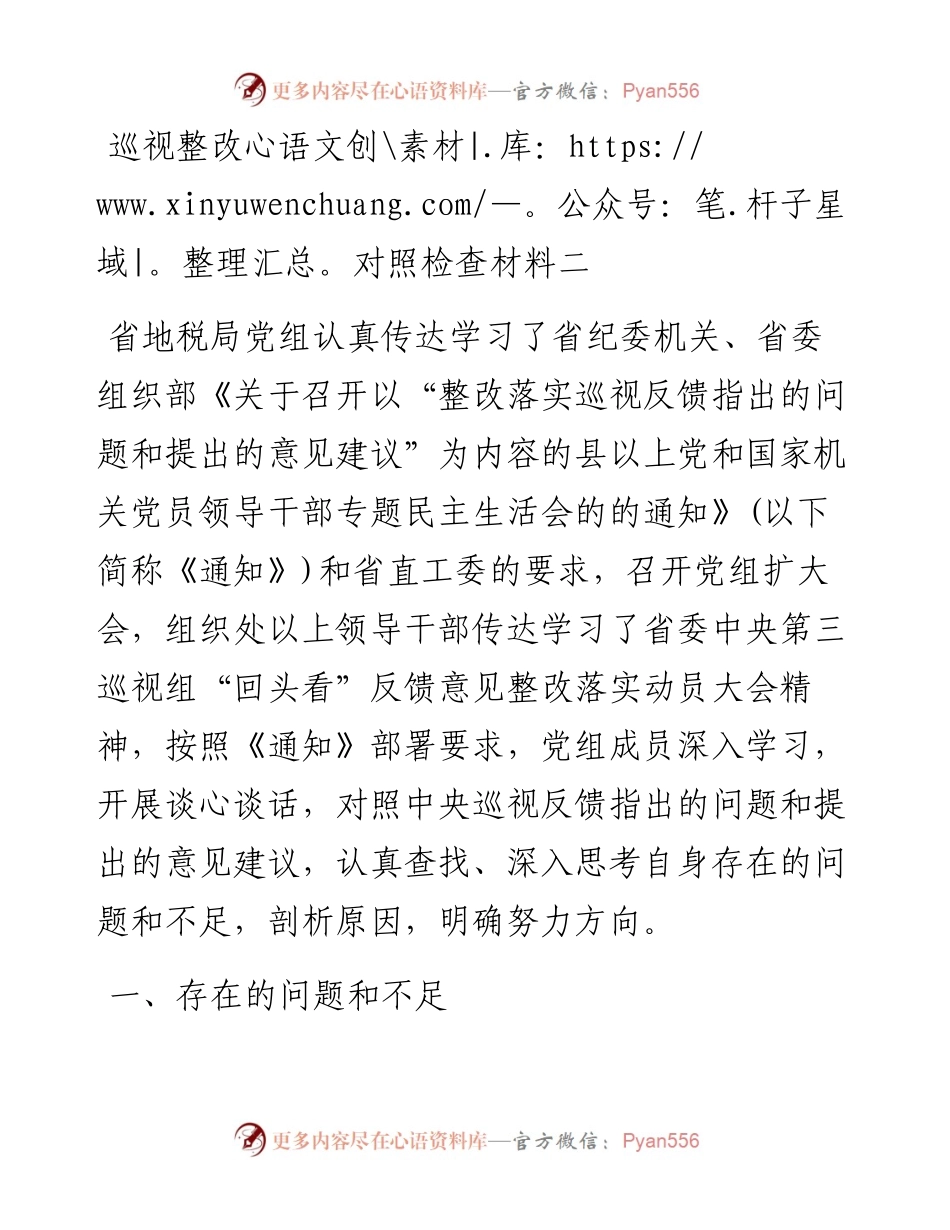 巡视整改对照检查材料二.docx_第1页