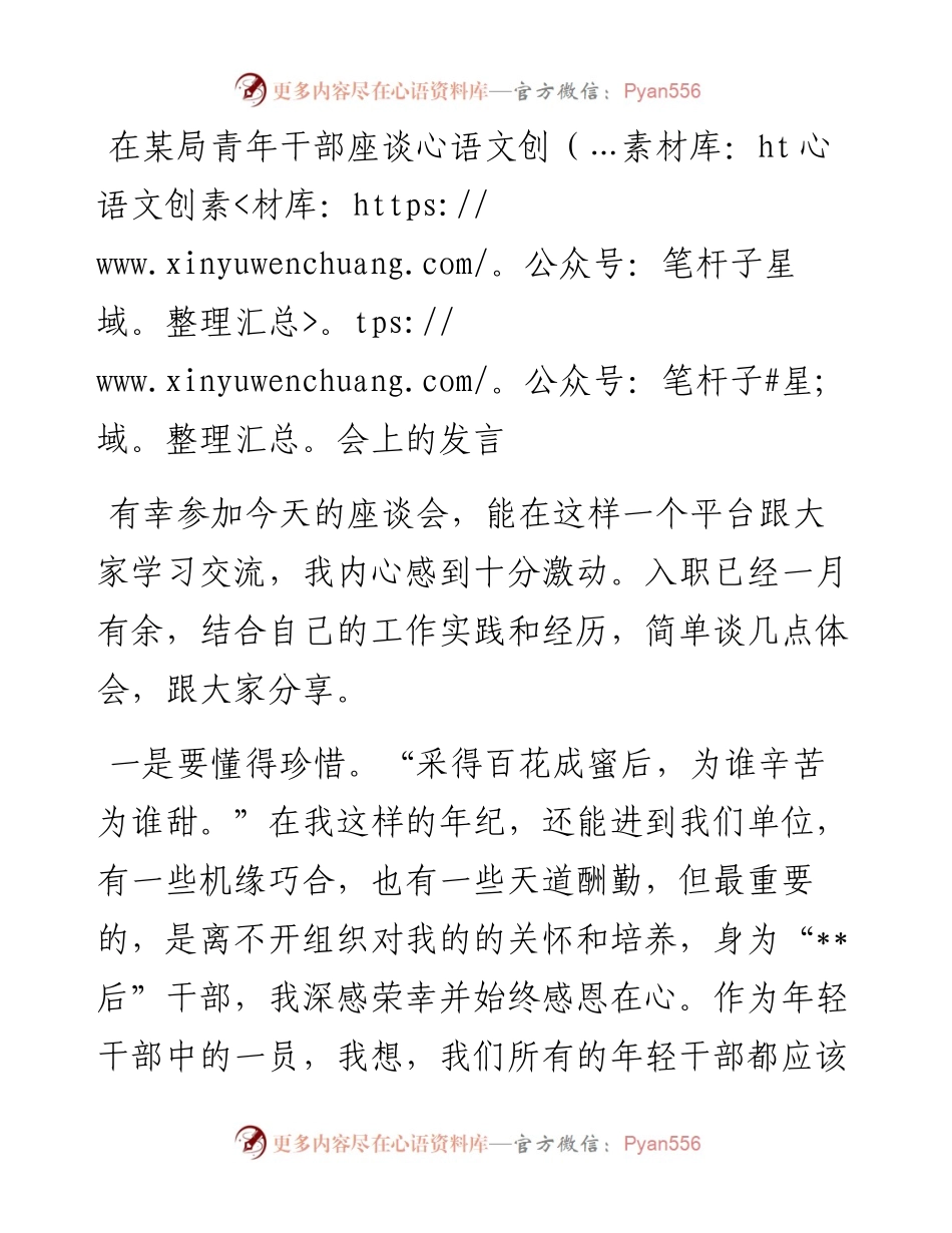 在某局青年干部座谈会上的发言.docx_第1页