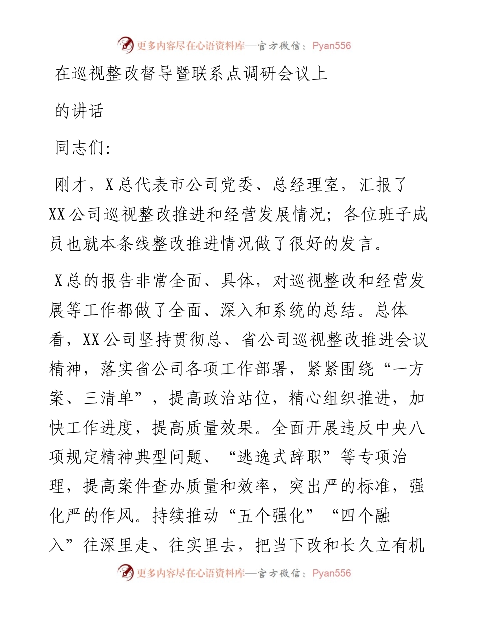 在巡视整改督导暨联系点调研会议上的讲话.docx_第1页