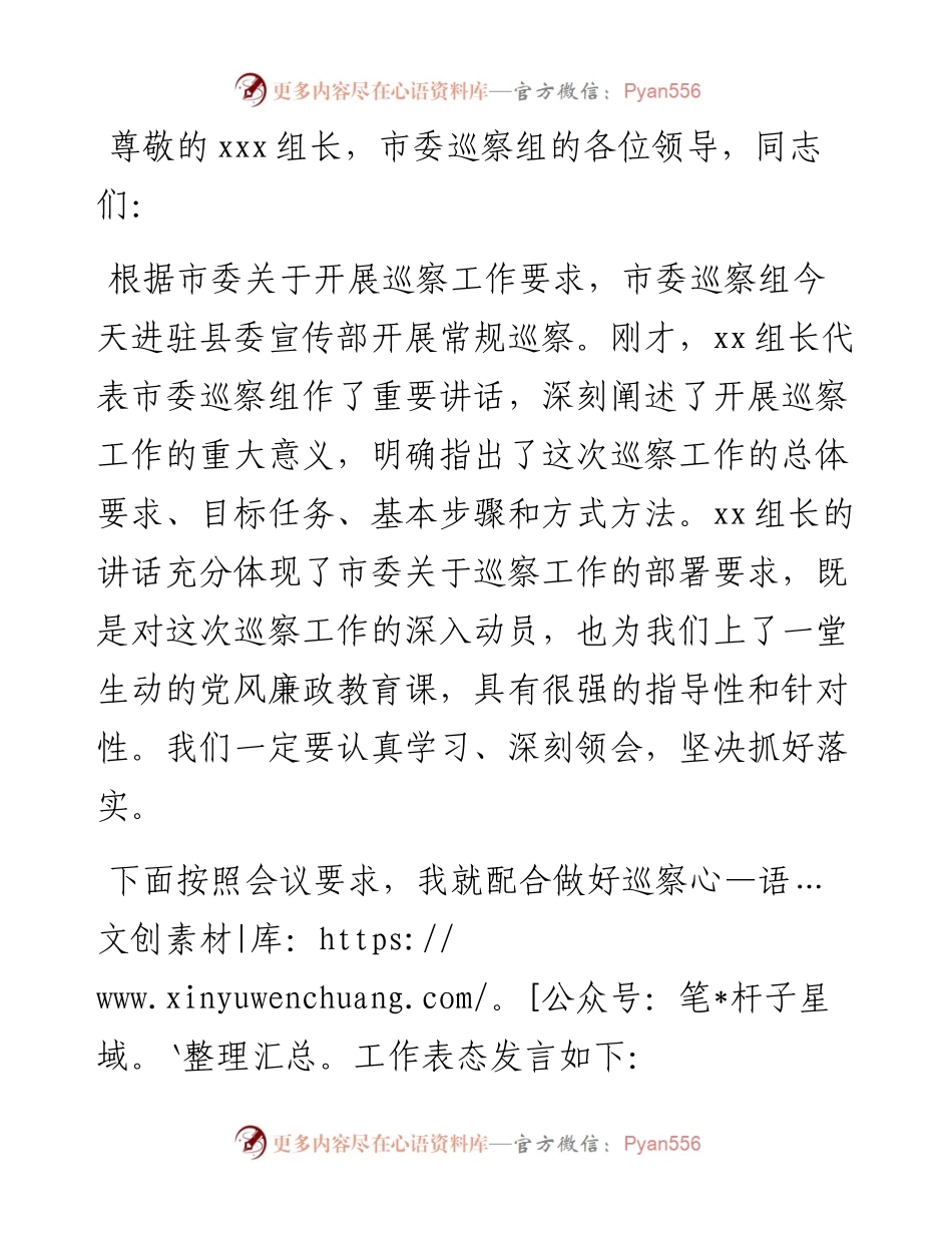 在市委巡察组巡察宣传部工作动员会议上的表态发言（被巡察单位）.docx_第1页