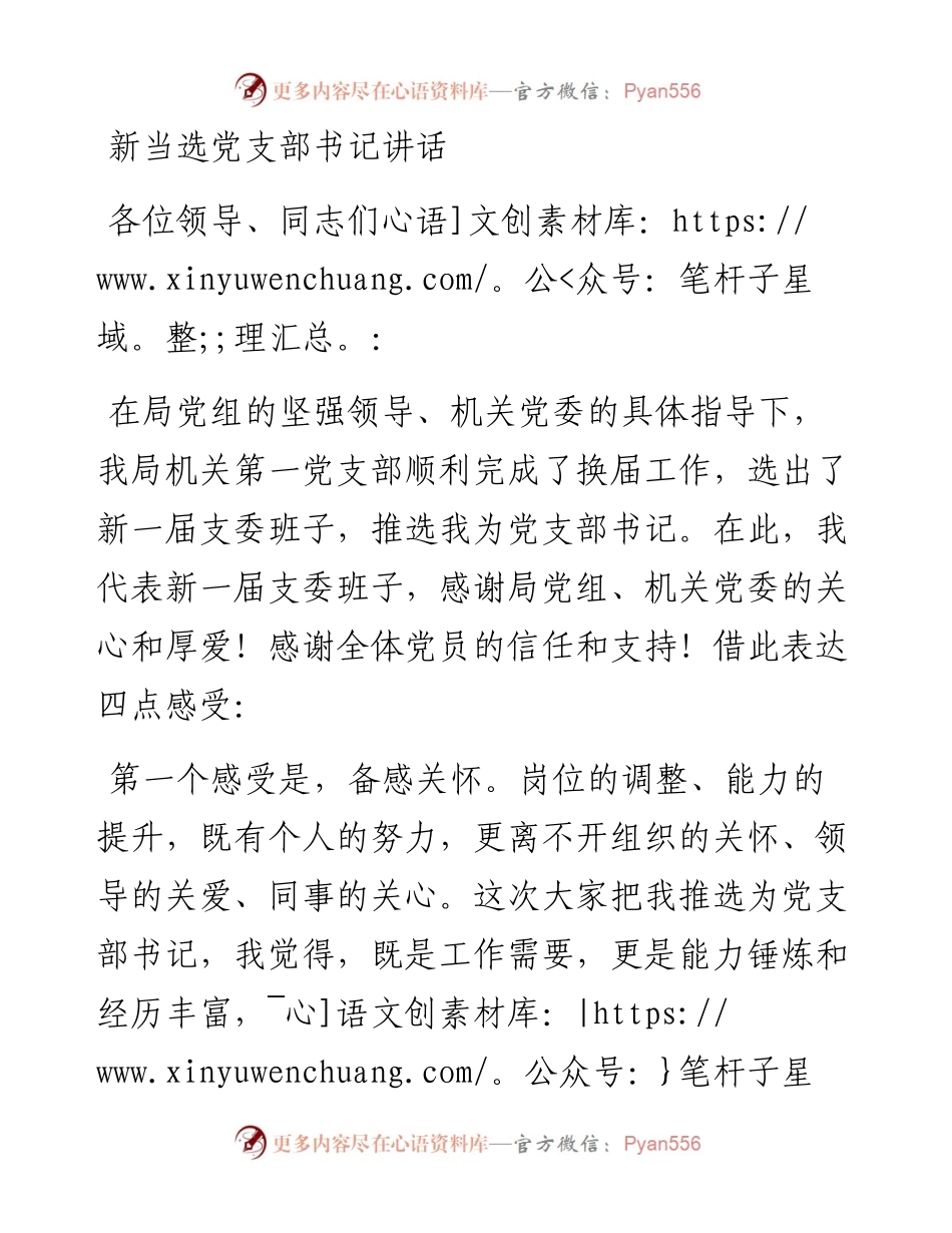 局机关：新当选党支部书记讲话(1).docx_第1页