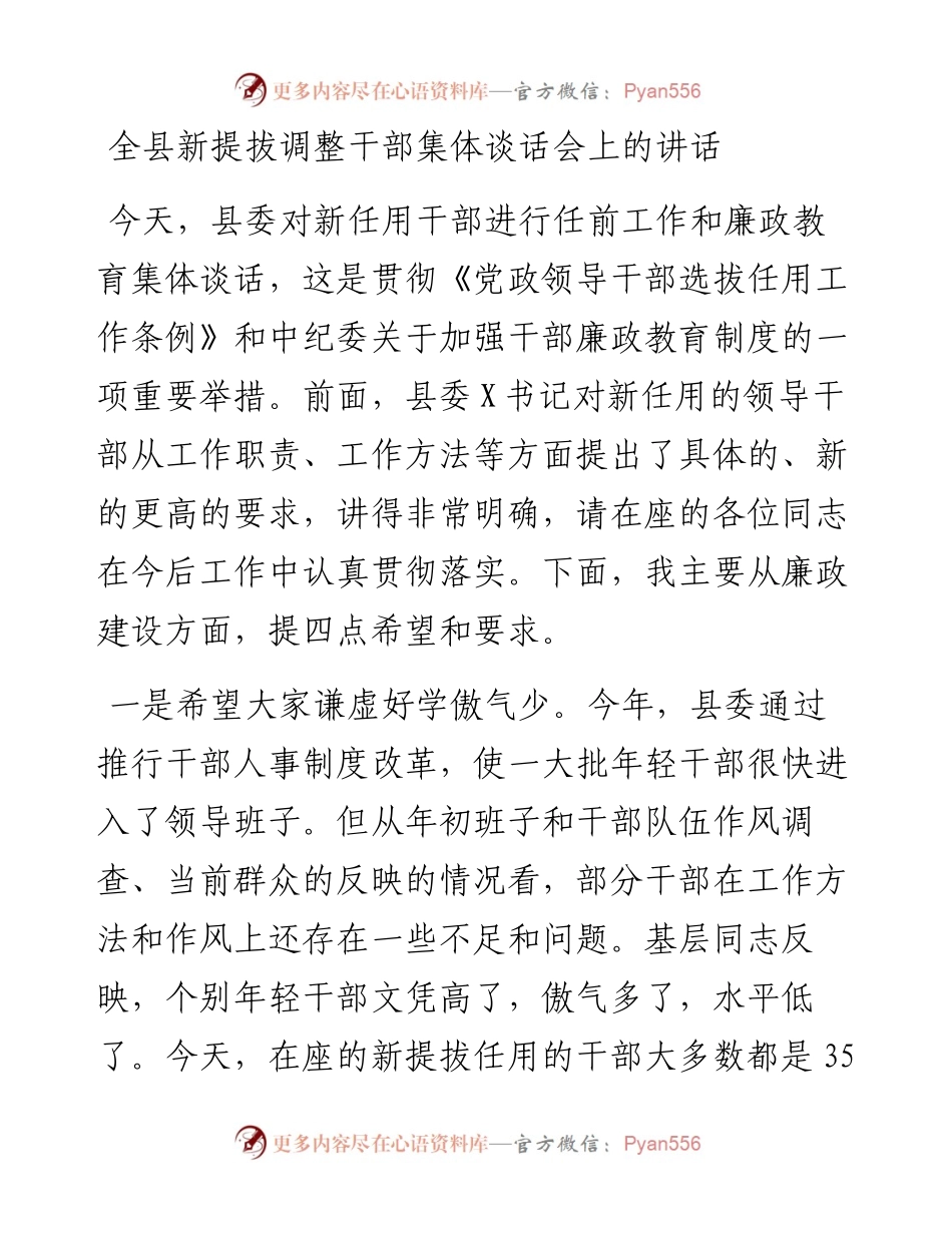 在新提拔调整干部集体谈话会上的讲话.docx_第1页