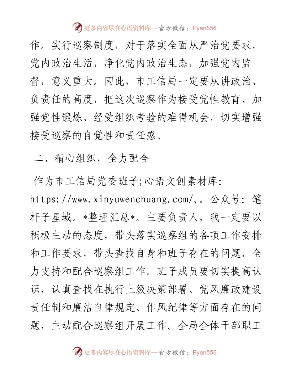 工信局在市巡察组巡察工作会议上的表态发言材料.docx_第2页