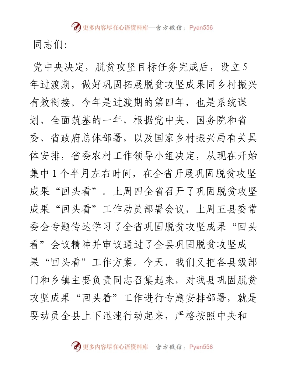 在巩固脱贫攻坚成果“回头看”工作动员部署会议上的讲话.docx_第1页