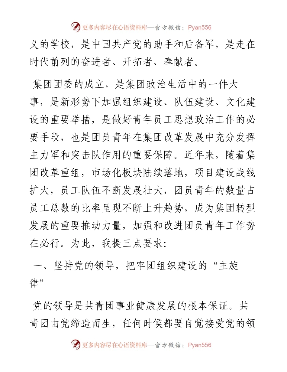 在集团团委成立大会上的讲话.docx_第2页