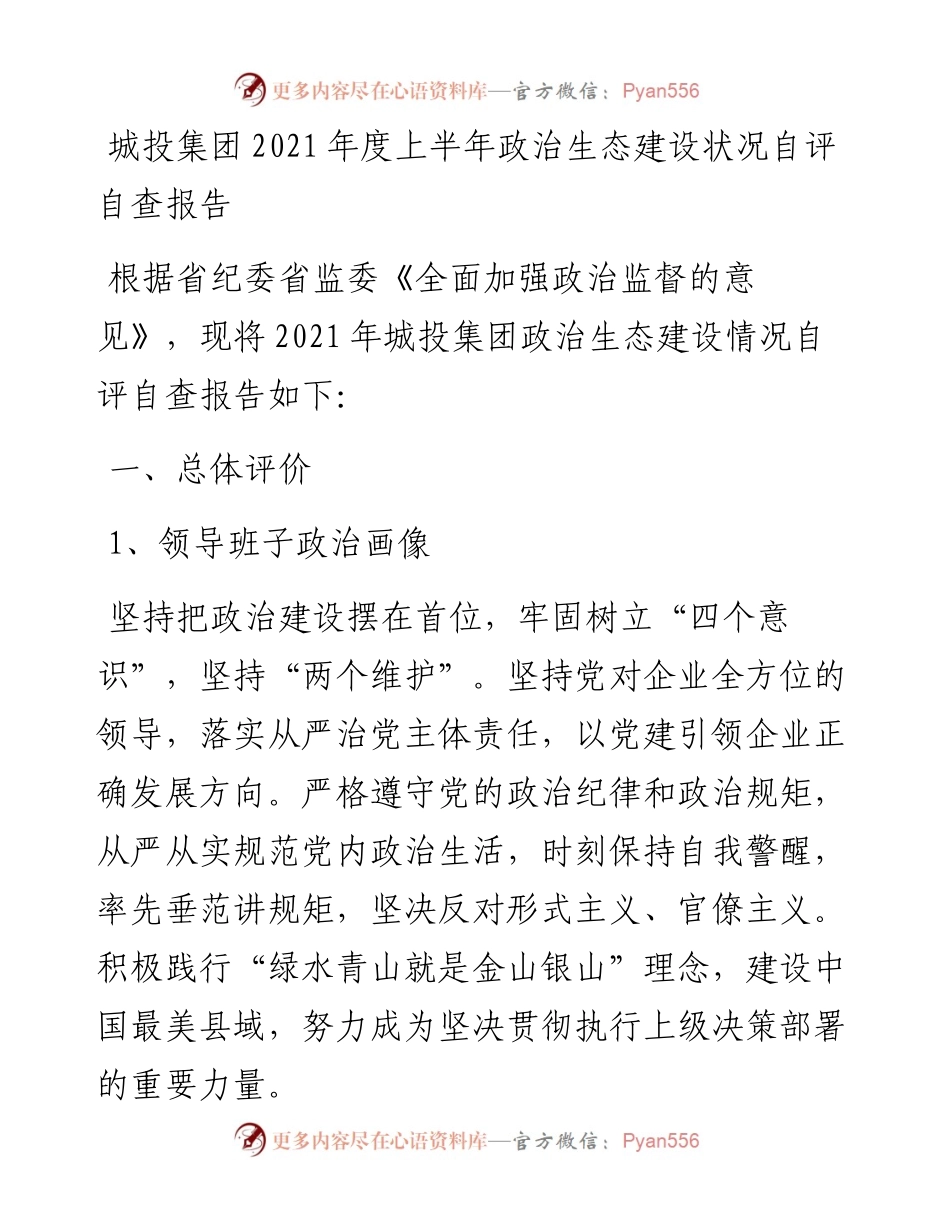 城投集团度上半年政治生态建设状况自评自查报告.docx_第1页