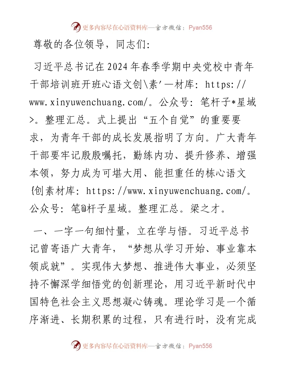 在纪检监察机关党支部青年干部座谈会上的发言.docx_第1页
