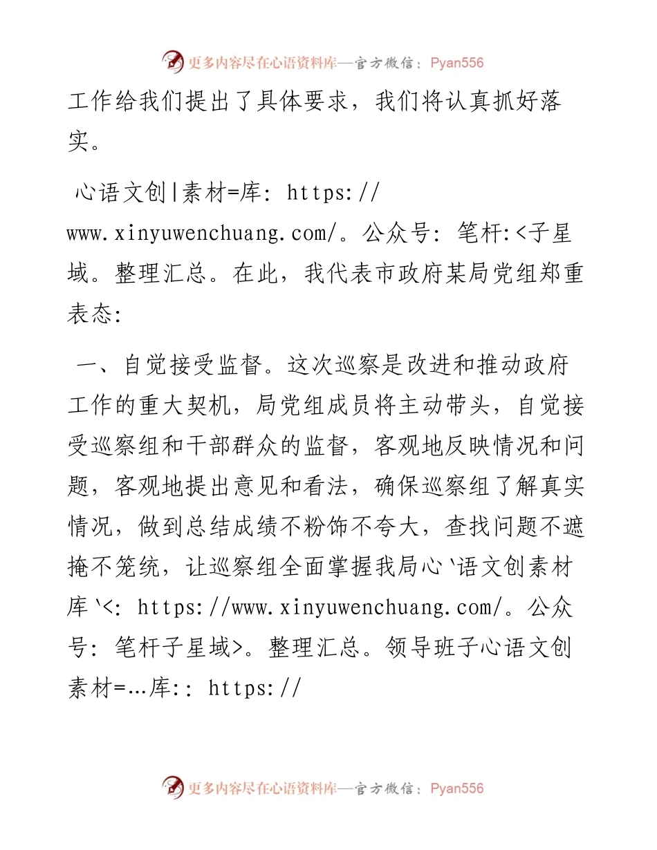 局党组书记在接受市委巡察工作动员会上的表态发言.docx_第2页