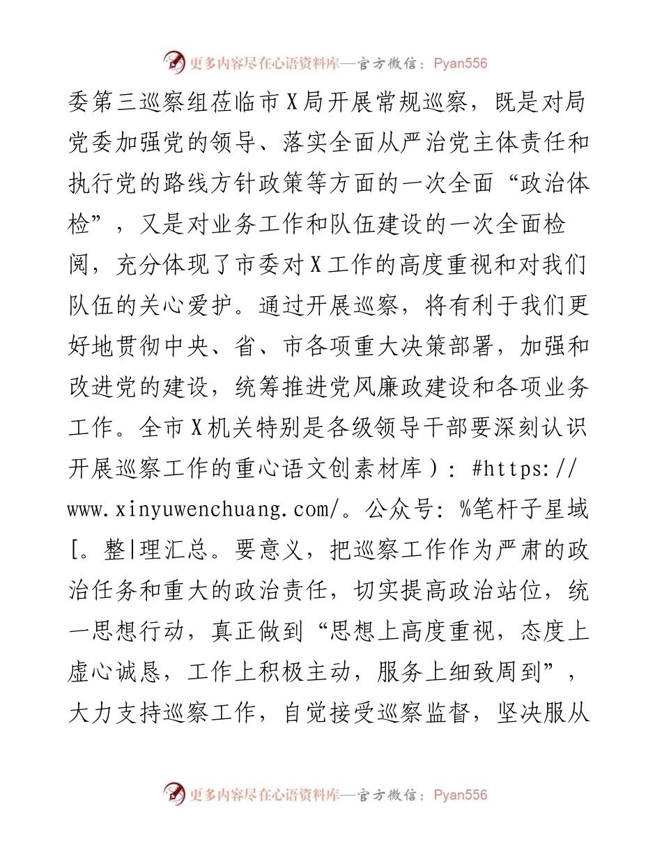 巡察工作动员会上的表态发言.docx_第2页