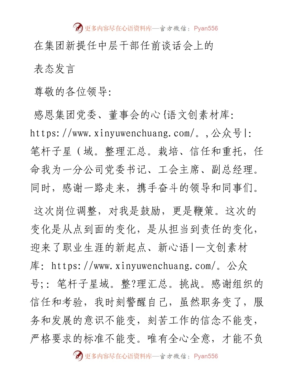 在集团新提任中层干部任前谈话会上的表态发言.docx_第1页