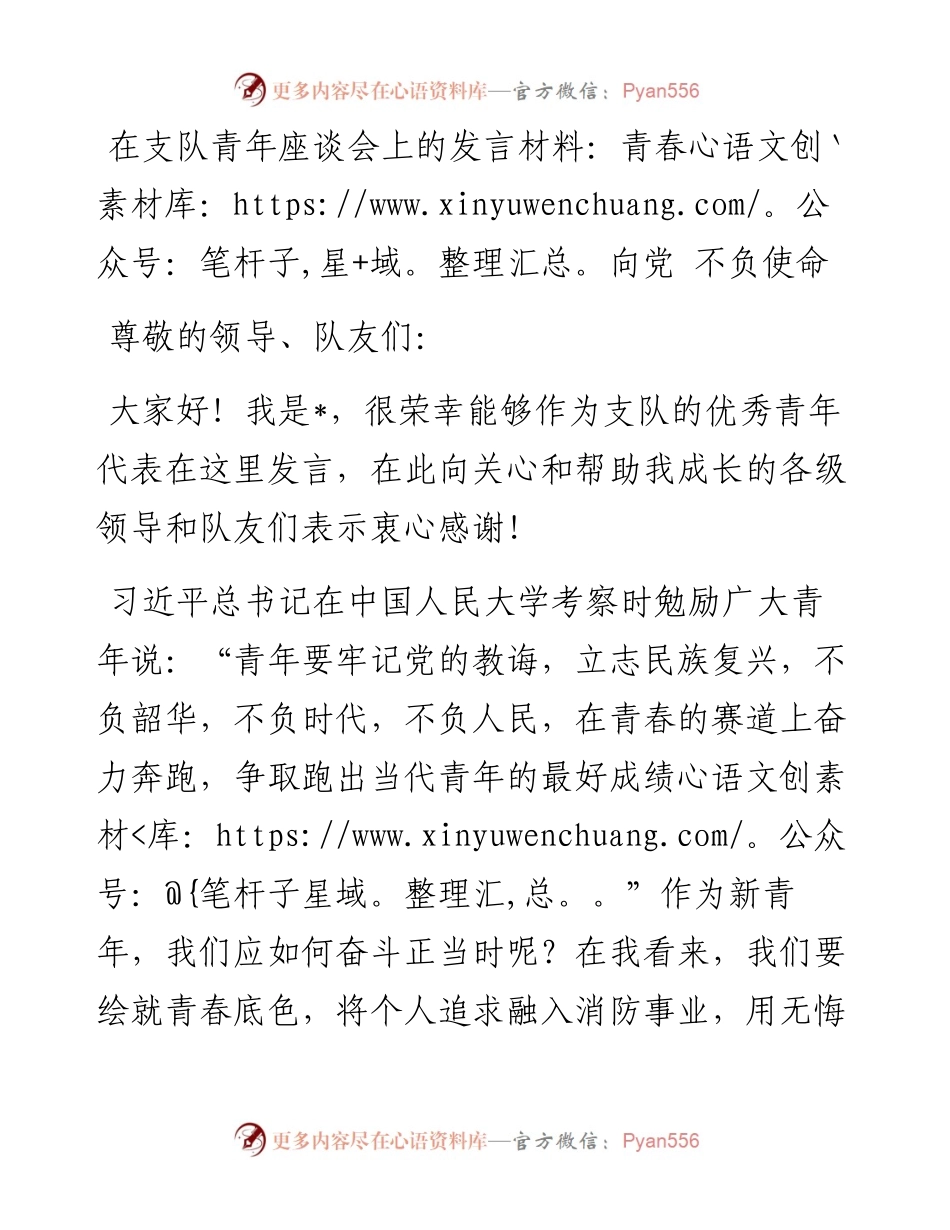 在支队青年座谈会上的发言材料：青春向党 不负使命.docx_第1页