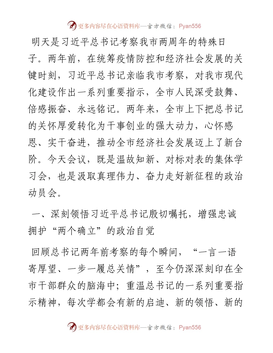 在市委常委会会议上的讲话的讲话.docx_第1页