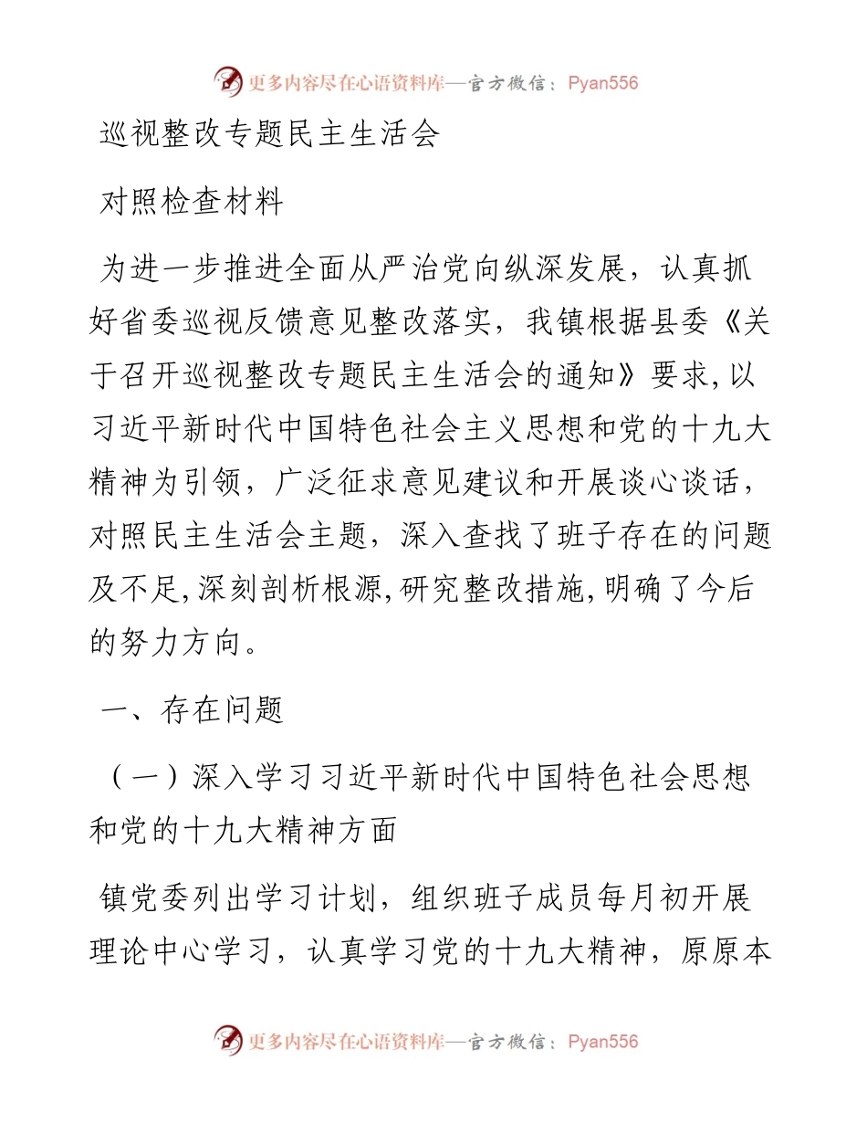 巡视整改专题民主生活会对照检查材料-乡镇.docx_第1页